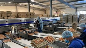 Отобраны ключевые проекты для АПК Костромской области